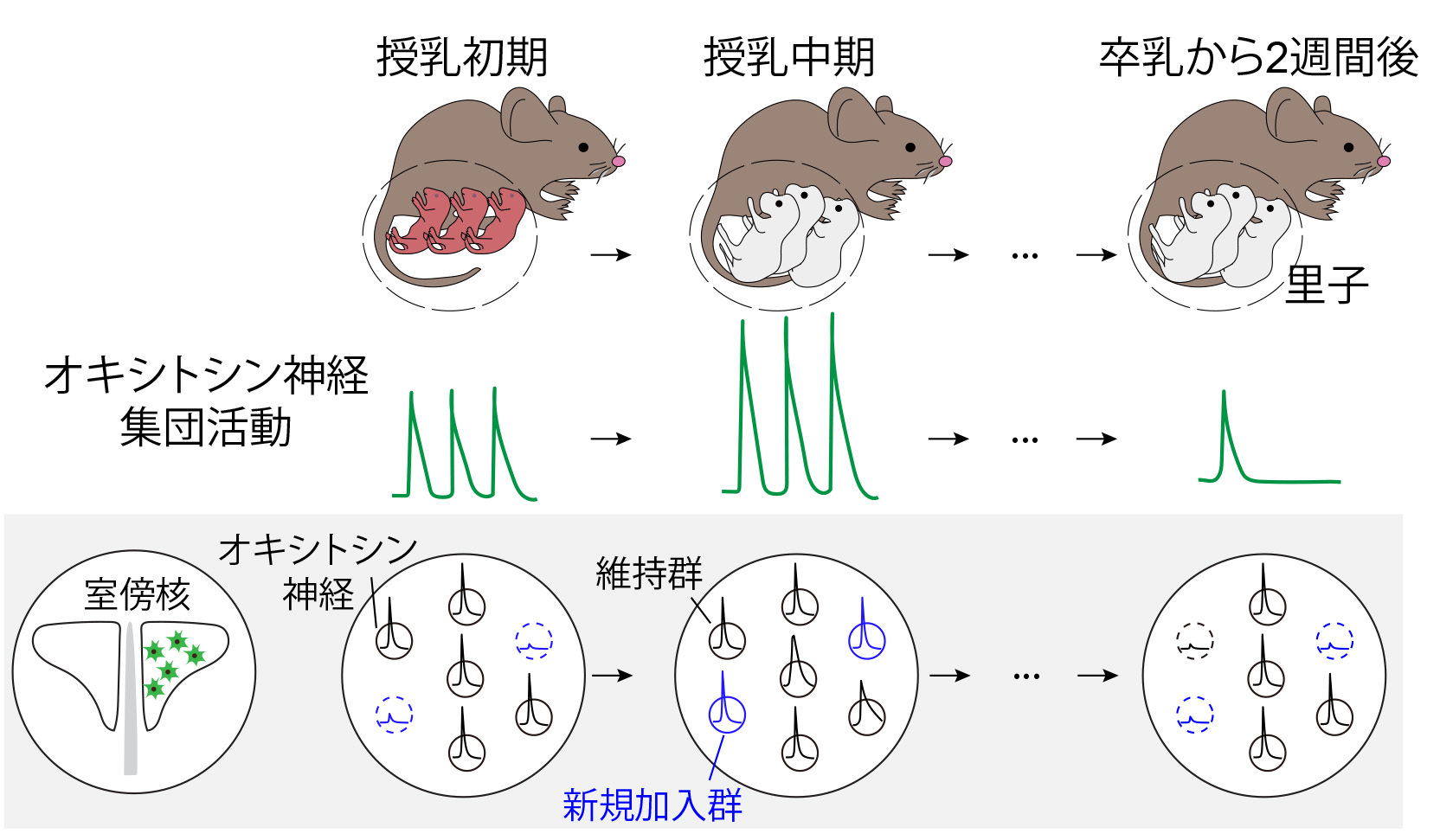 研究2