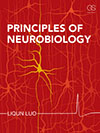 Principle of Neurobiology