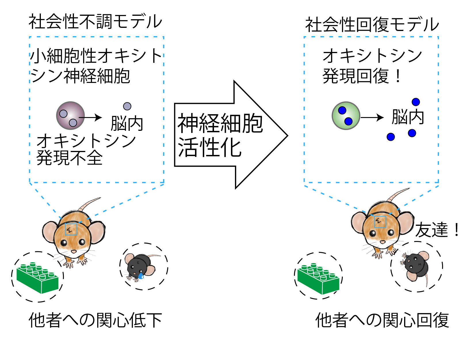 研究6