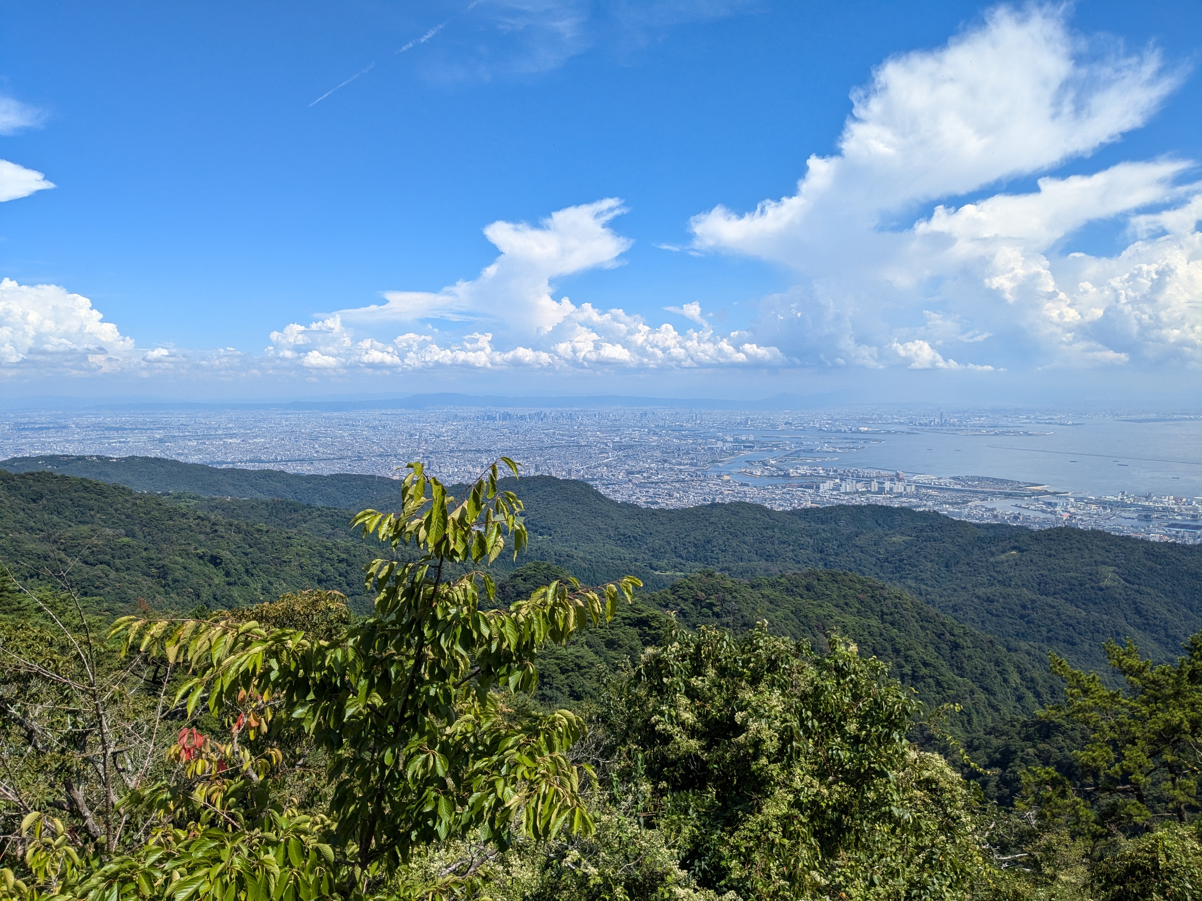 Rokko